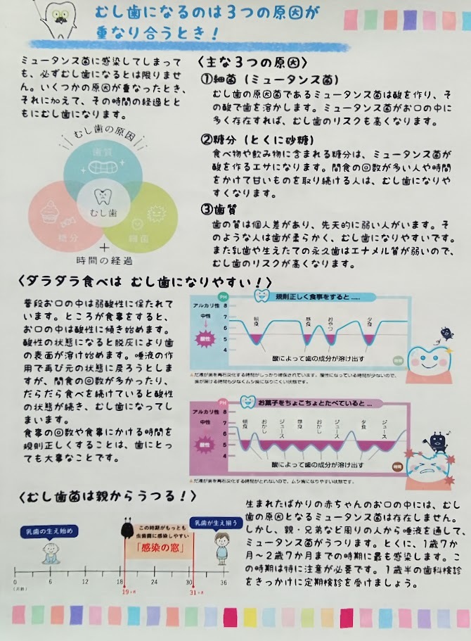 むし歯の原因